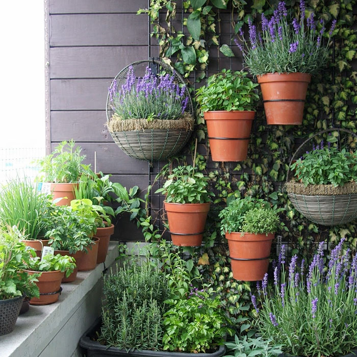Balcony Gardening for Beginners